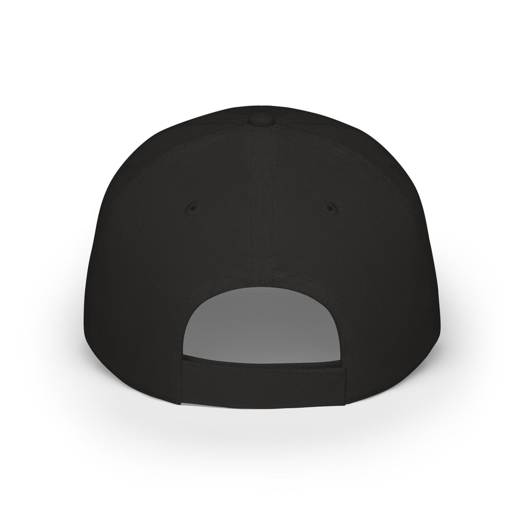 Liars & Hypocrites Low Profile Baseball Cap